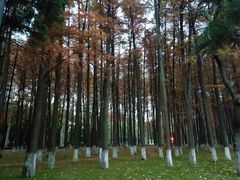 景点-解放公园