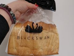 -BLACKSWAN黑天鹅(环球店)