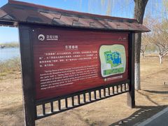 -大兴滨河森林公园