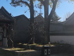 -莲池书院博物馆