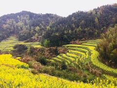 -灵山景区梯田