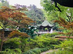-申粤轩酒楼·三十年粤菜经典(丁香花园店)
