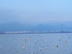 -海埂大坝