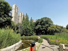 -成都市活水公园