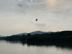 -佛手湖郊野公园