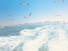 -海驴岛(荣成市)