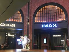 -CGV影城(壹方城IMAX店)