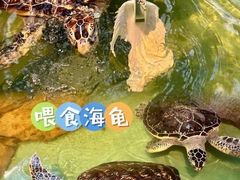 -重庆欢乐海底世界