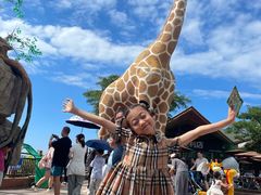 -西霞口神雕山野生动物世界