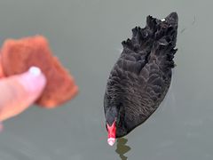 -径山花海