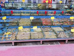 -滑记海鲜饭店·老字号(海鲜街店)
