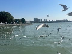 -蠡湖大桥公园