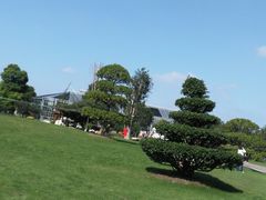 -南通洲际绿博园