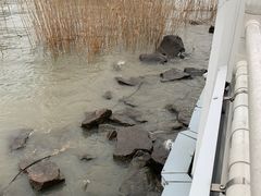 -上海山野camping·户外天幕烧烤·团建拓展营地