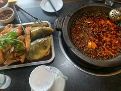 -秦巴石锅鱼(文化南路店)