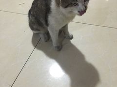 -夏家大锅台炖鱼馆