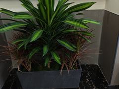 -DF游泳健身(贾家花园店)