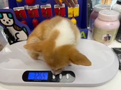 -FAELING PETS美天灵宠物(合生汇店)