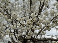 -贵阳市花溪国家城市湿地公园