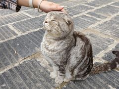 -宝通禅寺