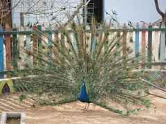 -济南野生动物世界