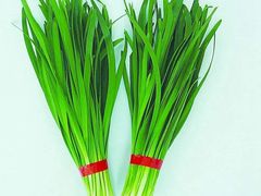 -上海证券交易所(上海证券大厦北塔店)