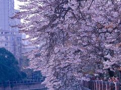 -红星桥(地铁站)