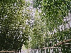 -个园