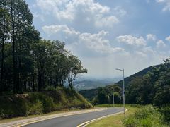 -黄埔油麻山森林公园