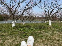 -上海海湾国家森林公园