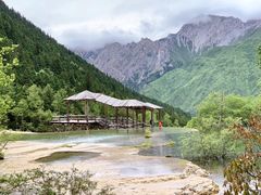 -黄龙山原始森林景区