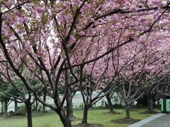 -苏州河梦清园环保主题公园