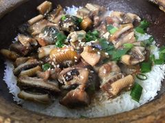 -红星光发煲仔饭(大石街店)