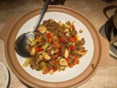 -佬肥猫(七宝宝龙店)