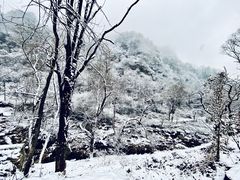 -秦岭终南山世界地质公园翠华山景区