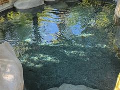 -水底山庄园温泉