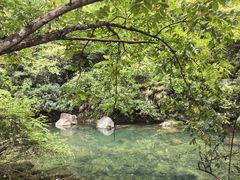 -黄山翡翠谷景区