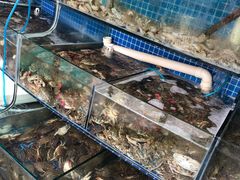 水产区-蟹谢蒸鲜自助餐厅