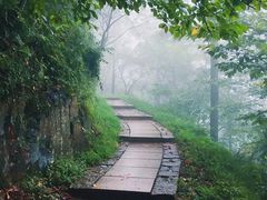 -莫干山风景区