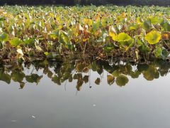 -圆明园停车场