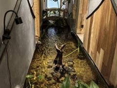 -邈墨茶馆(凤起路店)