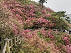 -木兰云雾山