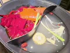 -阳阳老火锅(小南门店)