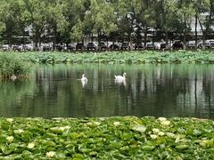 -吉林大学(前卫南区)