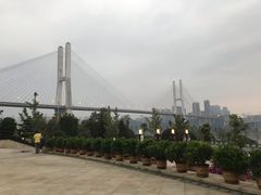 -重庆国际马戏城
