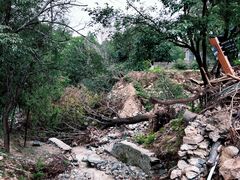 -鹫峰国家森林公园