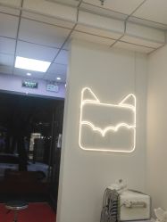 -洗脸猫·洗脸吧