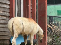 -无锡动物园·太湖欢乐园