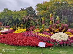 -上海共青森林公园