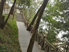 -广州市流溪河国家森林公园